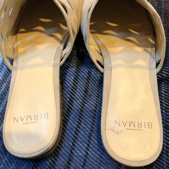 ALEXANDRE BIRMAN SLIDES - Picture 3 of 5